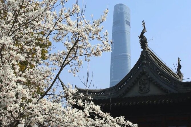 4-Hr Shanghai Layover Tour: Maglev, Wet Market, Food, Landmarks - Why this layover plan works