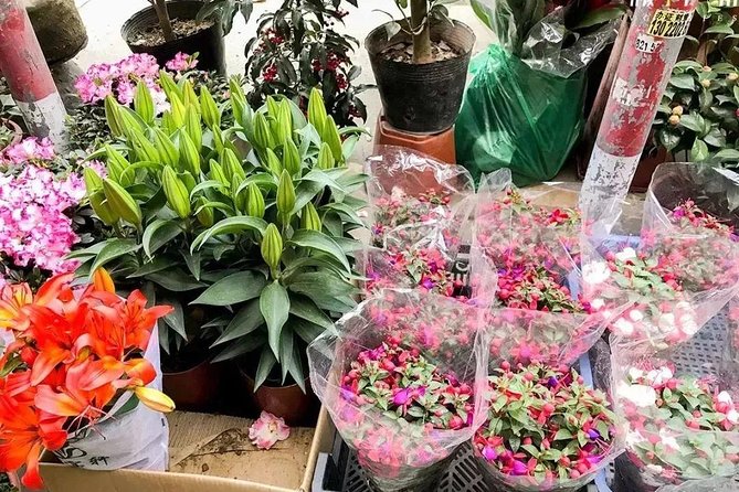 6-Hour Private Beijing Tour: Flower and Fish Market, Panjiayuan Antique Market and 798 Art Zone - Choosing the right start time