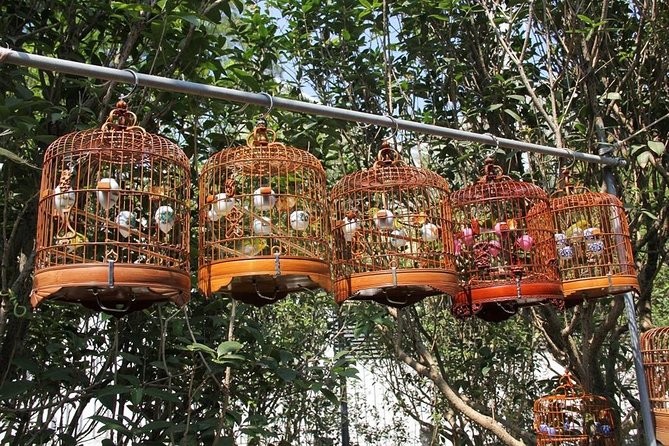 6-Hour Private Beijing Tour: Flower and Fish Market, Panjiayuan Antique Market and 798 Art Zone - Starting at Shilihe’s flower and fish market