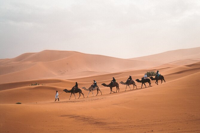 8-Hour Tour Giza Pyramids, Egyptian Museum and Cairo Bazaar - Lunch, water, and the $40 price