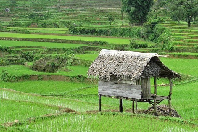 Active Volcano, Rice Field, Hot Spring, Fruit market, Tea Plantation with Lunch - Lunch, Sundanese food, and a coffee stop