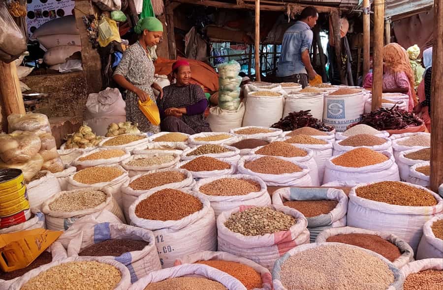 Addis Ababa: Entoto hill and Mercato Market layover tour - Practical preparation for a smooth day