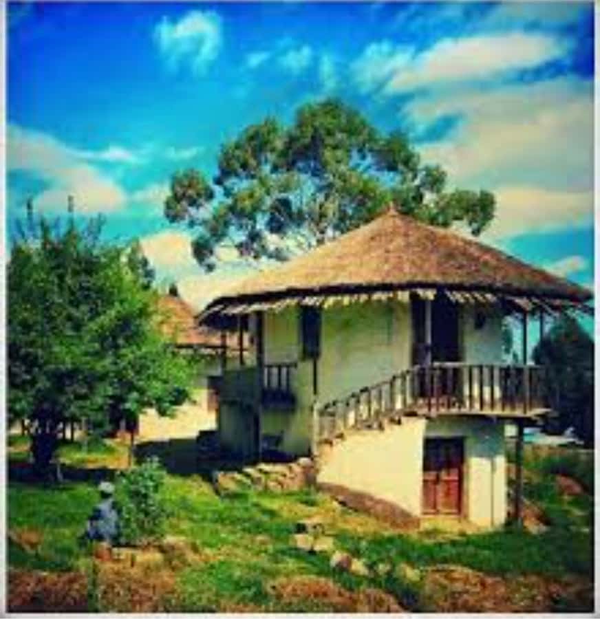 Addis Ababa: Entoto hill and Mercato Market layover tour - Who should book this tour?