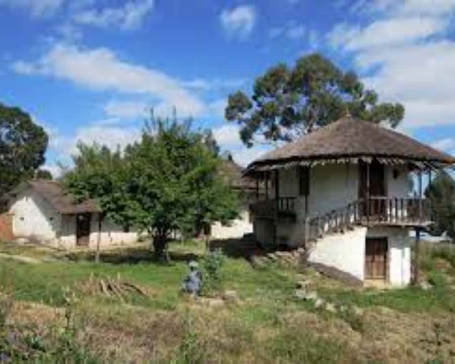 Addis Ababa: Entoto hill and Mercato Market layover tour - Starting at Entoto Hill above Addis Ababa
