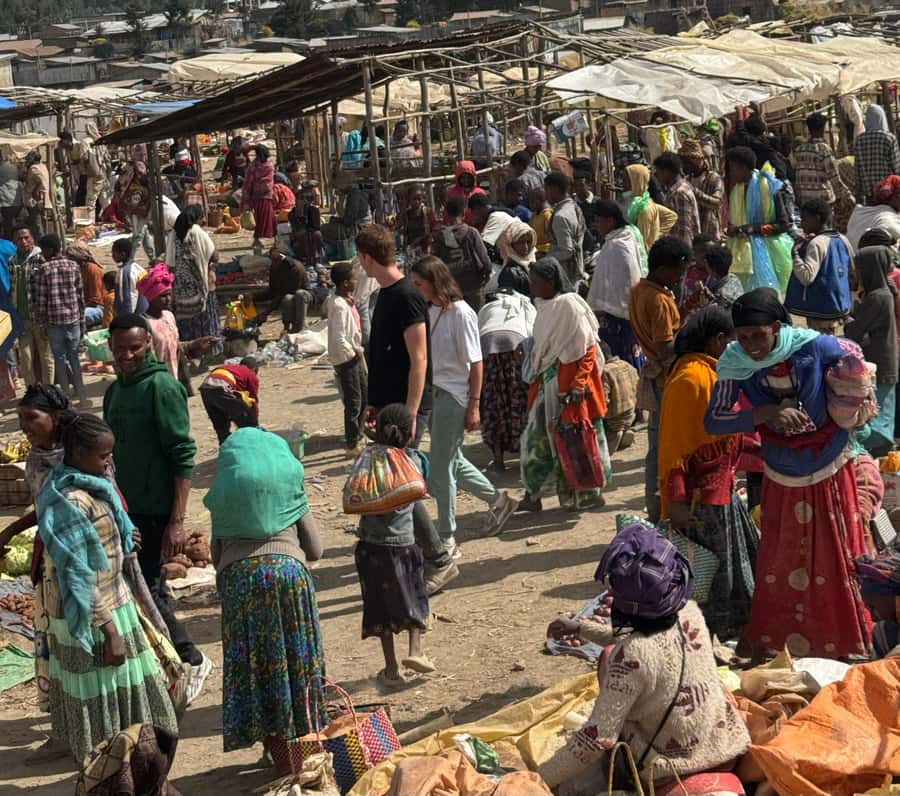 Addis Ababa: Mercato Market and Sightseeing Tour - Entoto Natural Park changes the pace