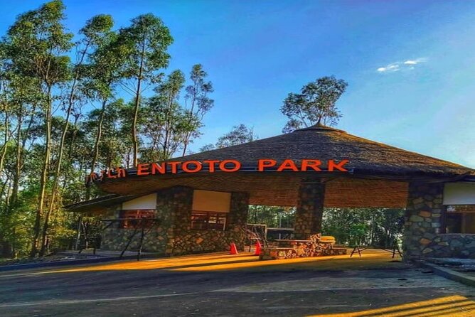 Addis Ababa +Mount Entoto View Point,Museums Palace Market Tours - Why this half-day tour works well in Addis Ababa