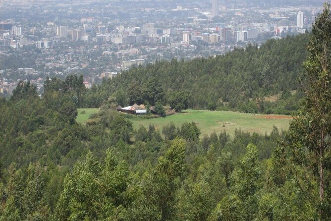 Addis Ababa +Mount Entoto View Point,Museums Palace Market Tours - The National Museum and the story of Lucy
