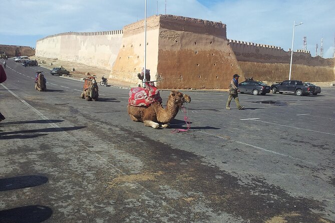 Agadir city tour and souk el had - The guide can shape the experience