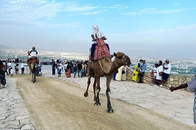 Agadir city Tour with big Souk Elhad - Transport, timing, and what the price includes