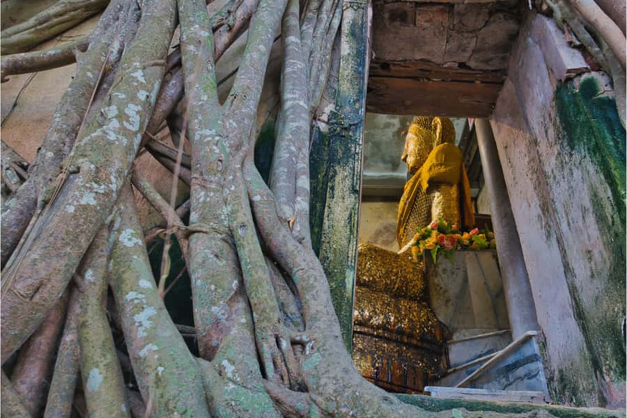 Amphawa & Railway Market & Boat Ride: from BKK - Key points to know before booking