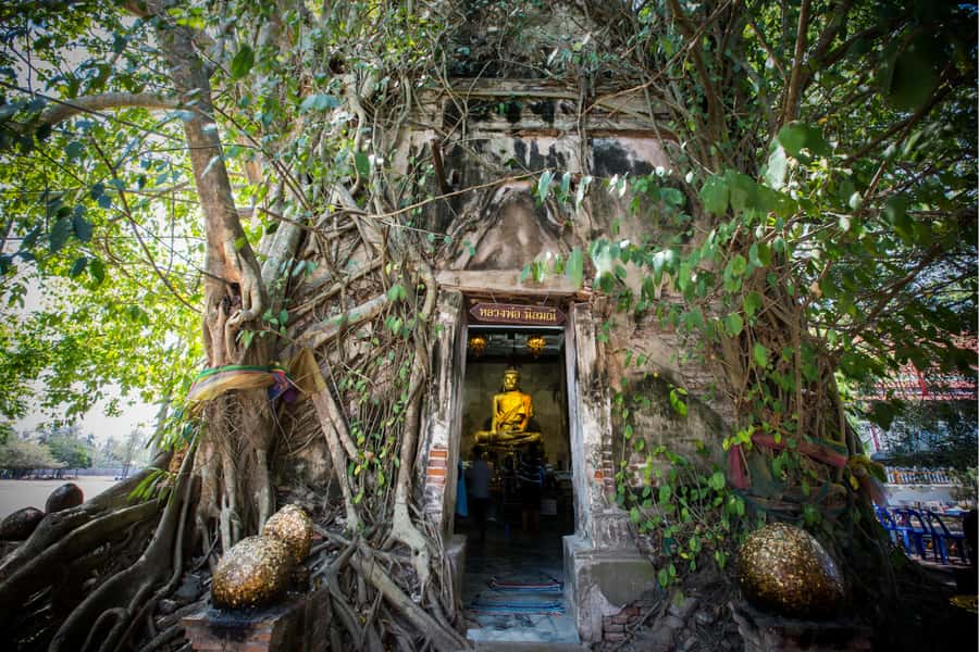 Amphawa & Railway Market & Boat Ride: from BKK - Wat Bang Kung and the chapel held by roots