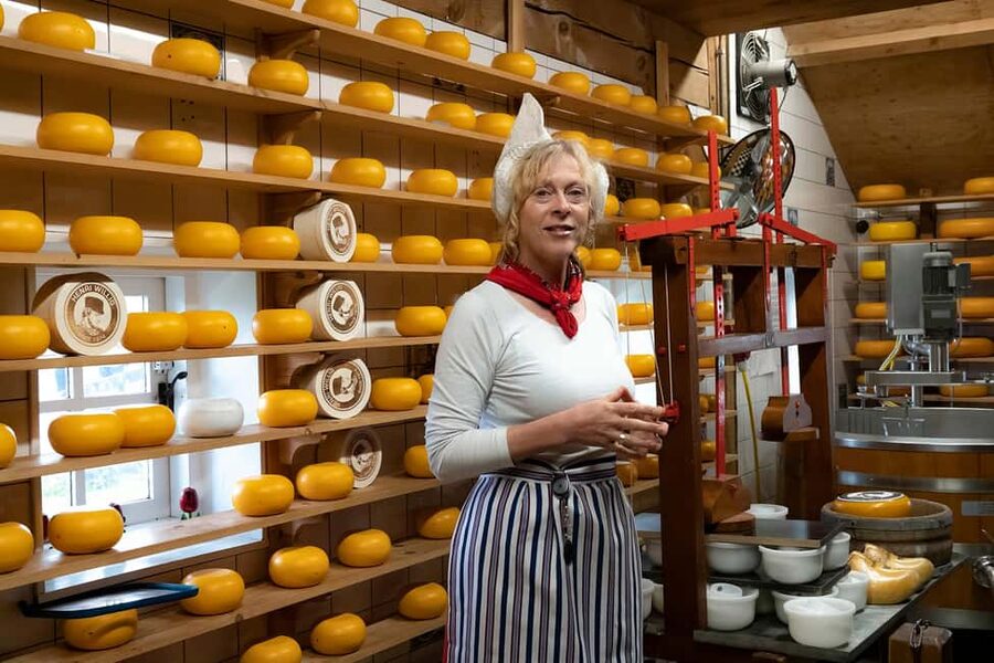 Amsterdam: Traditional Cheese Market Tour to Alkmaar - Key points to know before booking