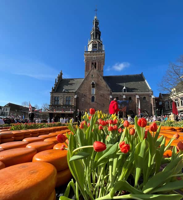 Amsterdam: Traditional Cheese Market Tour to Alkmaar - Two hours to explore Alkmaar on your own