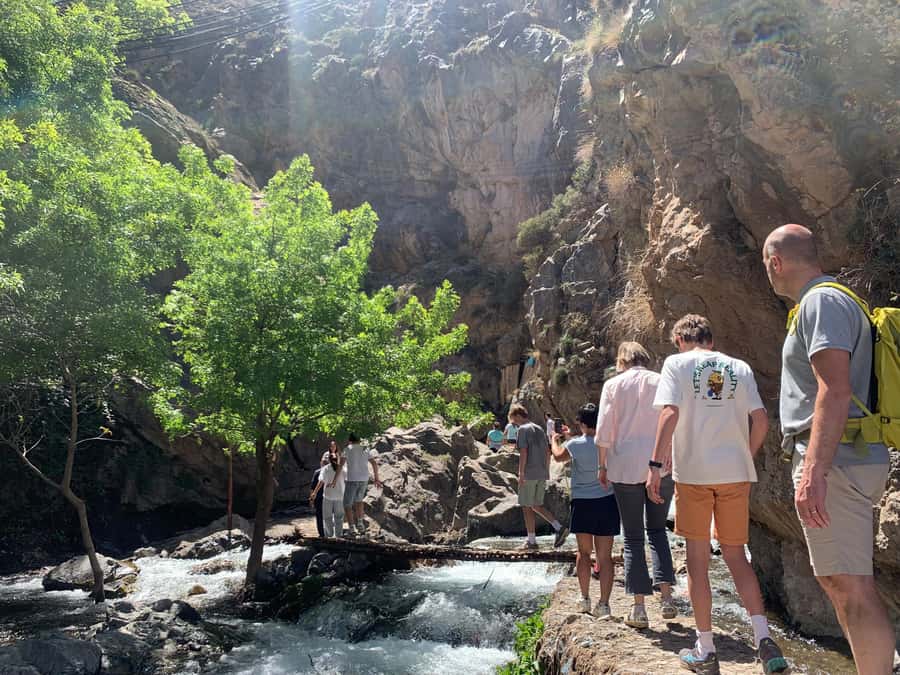 Atlas Mountains Day Trip: Market, Cooking & Village Walk - Cooking with a Berber family