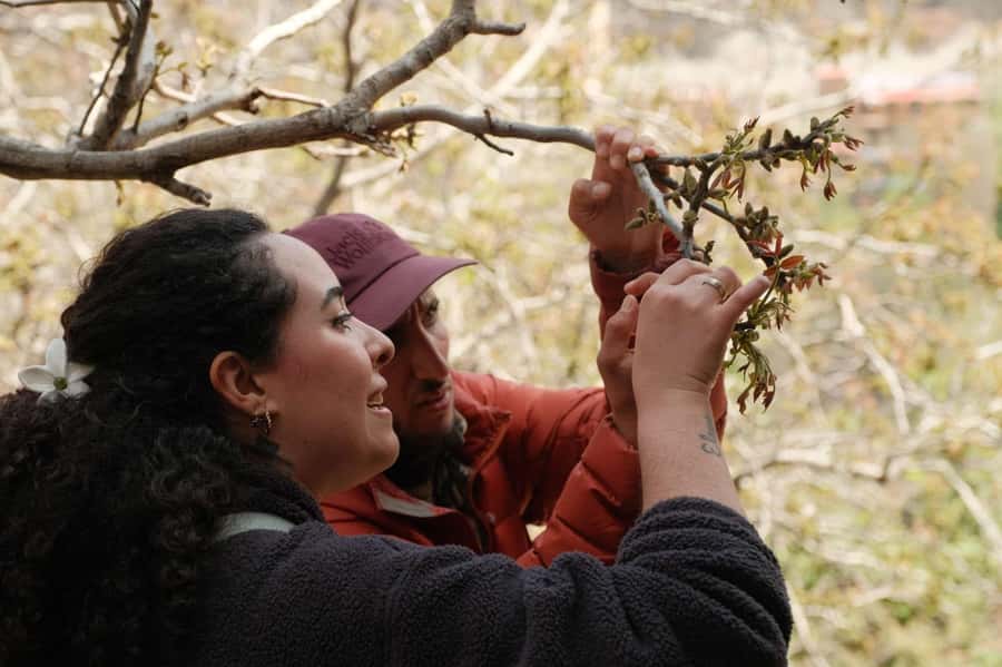 Atlas Mountains Day Trip: Market, Cooking & Village Walk - What $62 gets you