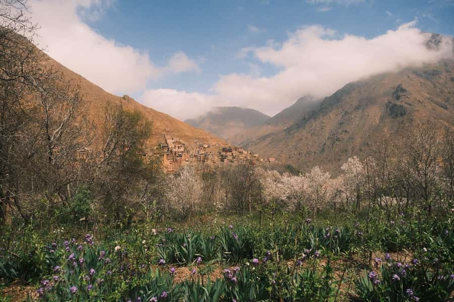 Atlas Mountains Day Trip: Market, Cooking & Village Walk - Imlil market and the Tuesday or Saturday advantage