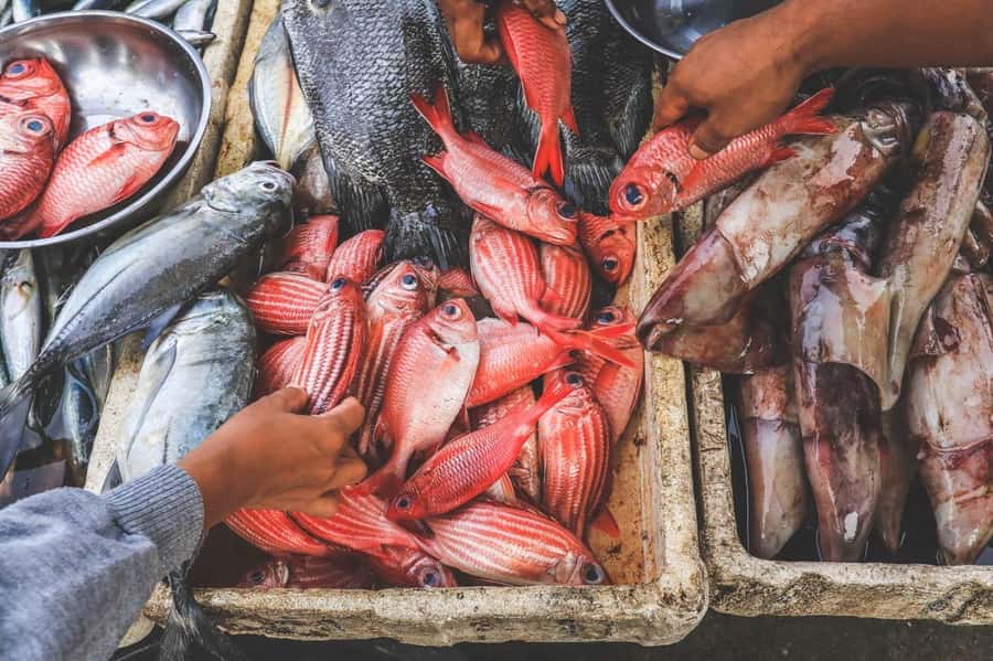 Bali: Jimbaran Seafood Market Tour with Sunset Dinner - Starting with pickup or a meeting point