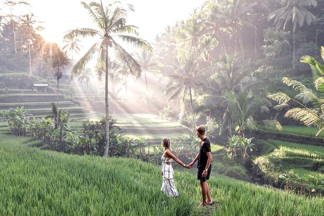 Bali Night Market Experience and Ubud Highlights tour - Tegalalang Rice Terrace puts farming in the picture