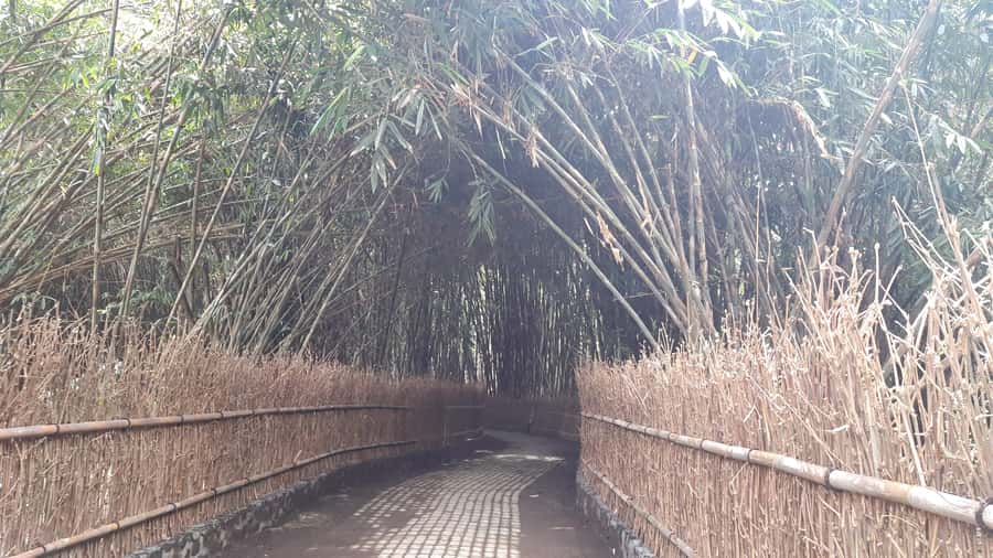 Bali: Penglipuran Village, Waterfall, and Night Market Tour - Goa Raja Waterfall and the swimming decision