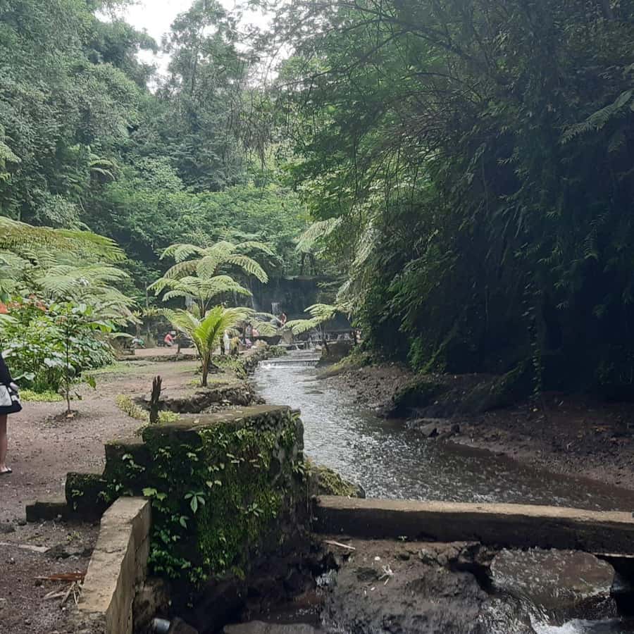 Bali: Penglipuran Village, Waterfall, and Night Market Tour - Pasar Gianyar for a local food finish
