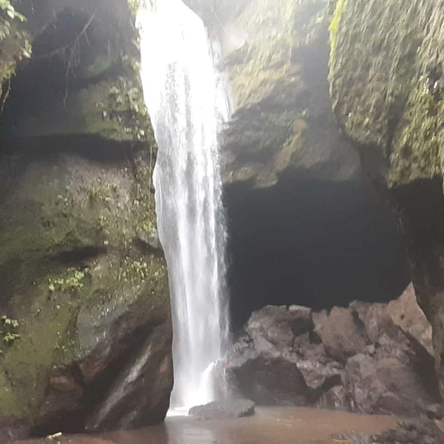 Bali: Penglipuran Village, Waterfall, and Night Market Tour - Who should book this Bali day tour?