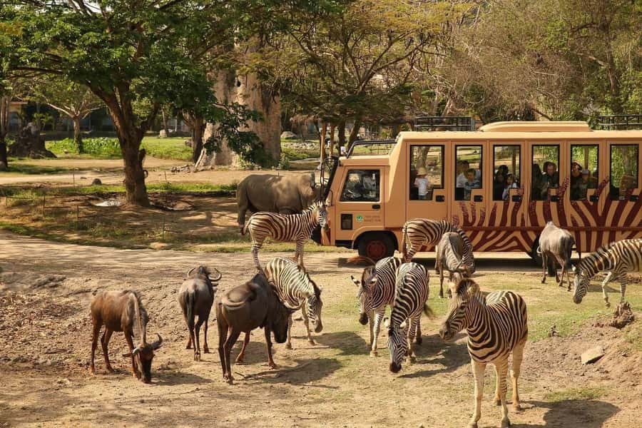 Bali: Safari Zoo and Ubud Palace and Market Day Tour - Thirty minutes for shopping at Ubud Market