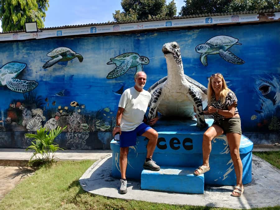Bali: Turtle Conservation and Education Tour & Local Market - FAQ