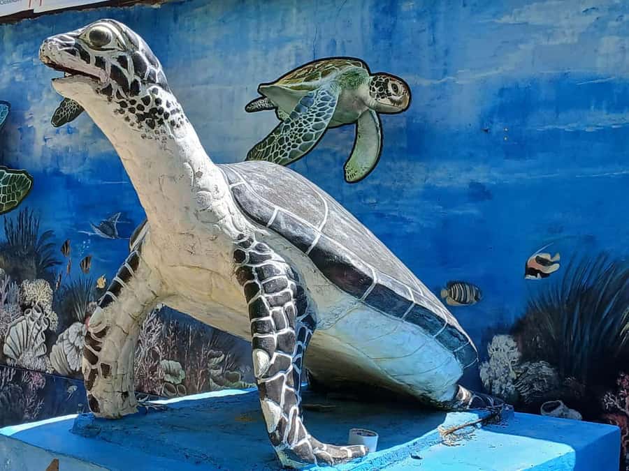 Bali: Turtle Conservation and Education Tour & Local Market - The Denpasar stop and the road between attractions