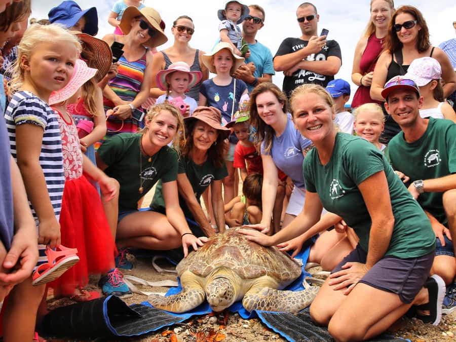 Bali: Turtle Conservation and Education Tour & Local Market - Badung Market: useful, noisy, and not air-conditioned