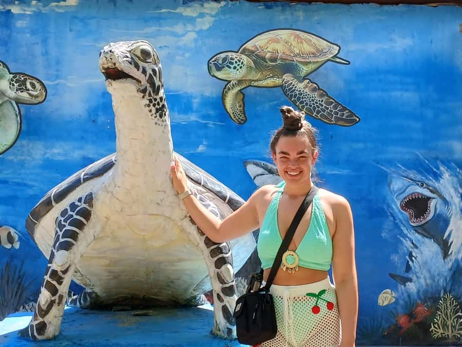 Bali: Turtle Conservation and Education Tour & Local Market - Flexibility can improve the day