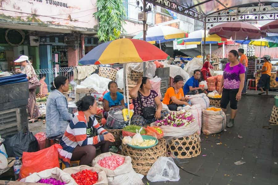 Bali: Turtle Conservation and Education Tour & Local Market - Who will get the most from this tour