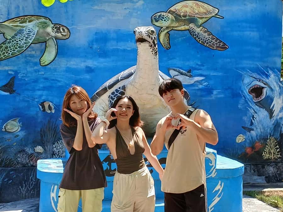 Bali: Turtle Conservation and Education Tour & Local Market - A private car makes the six-hour schedule easier