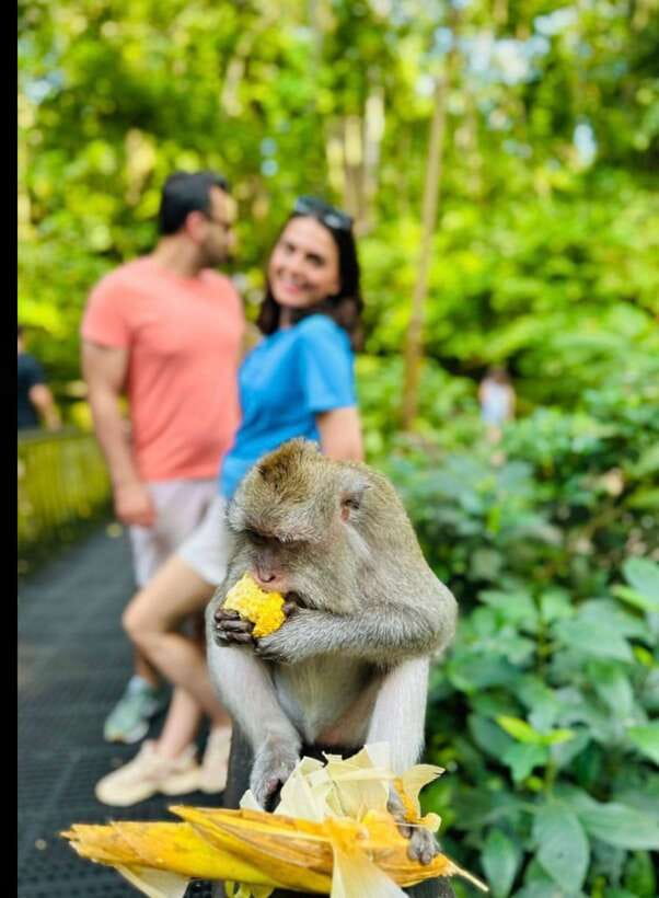 Bali: Ubud Monkey Forest, Coffee Plantation, and Market Tour - Choosing between Ubud Market and a smaller local market