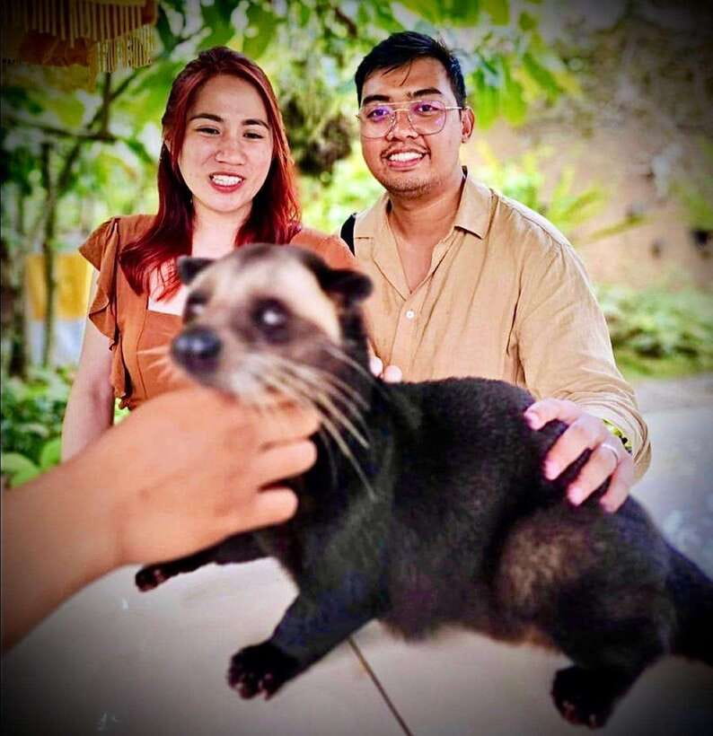 Bali: Ubud Monkey Forest, Coffee Plantation, and Market Tour - What the driver and guide add to the day