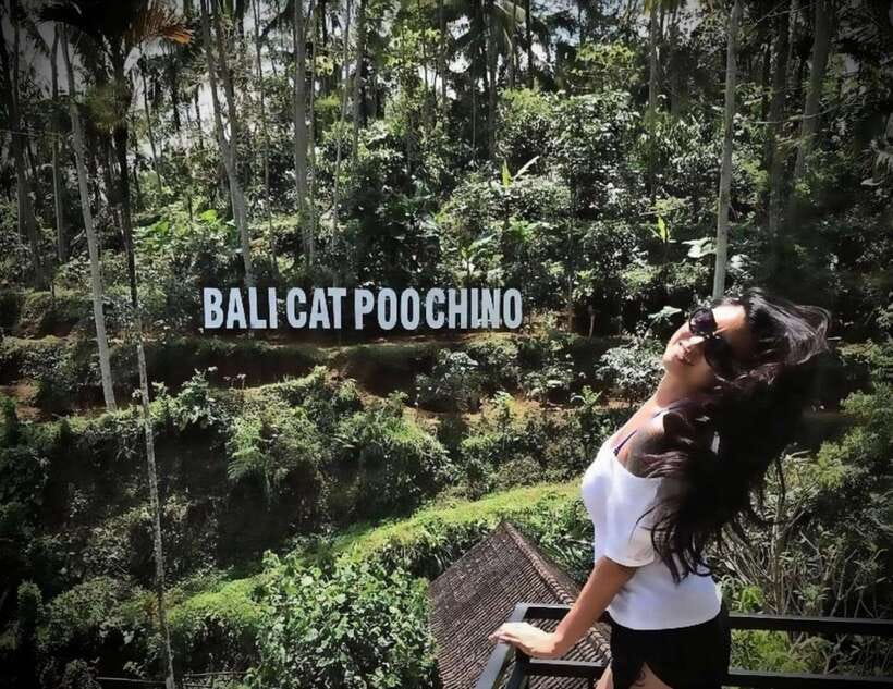 Bali: Ubud Monkey Forest, Coffee Plantation, and Market Tour - Who should book this Bali tour