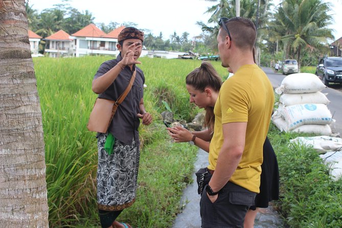 Balinese Ubud cooking school (9 Dish Cooking and Market Tour) - Who Will Get the Most From This Class