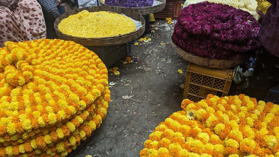 Bangalore Walking Tour KR Flower Market,Fort,Tippu palace - Who should book this Bangalore walking tour?