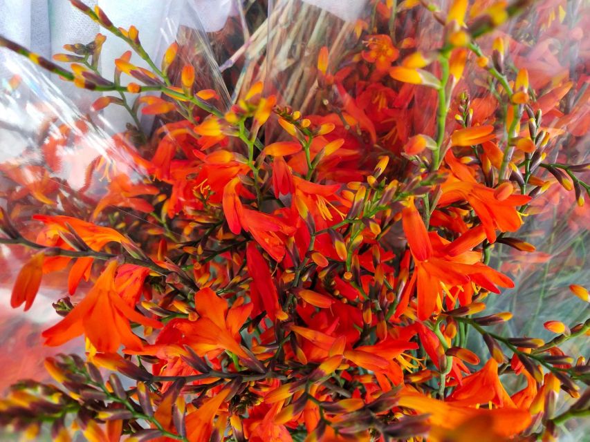 Bangkok:4Hour Flower Market and Little India Tour Mini Group - Who will enjoy this four-hour route