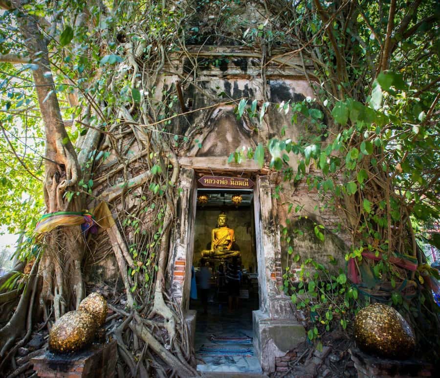 Bangkok: Amphawa Floating & Railway Markets Guided Day Tour - The train that cuts through Maeklong Market