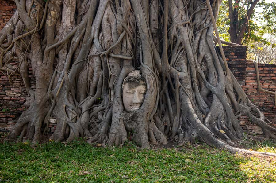 Bangkok: Ayutthaya, Railway & Floating Markets Full-Day Tour - What to bring for a smoother day