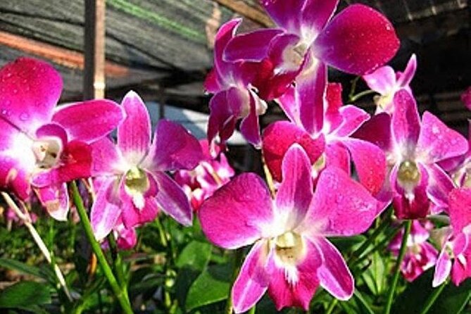 BANGKOK: Damnern Saduak Floating Market, Thai House - Why this tour works beyond the market