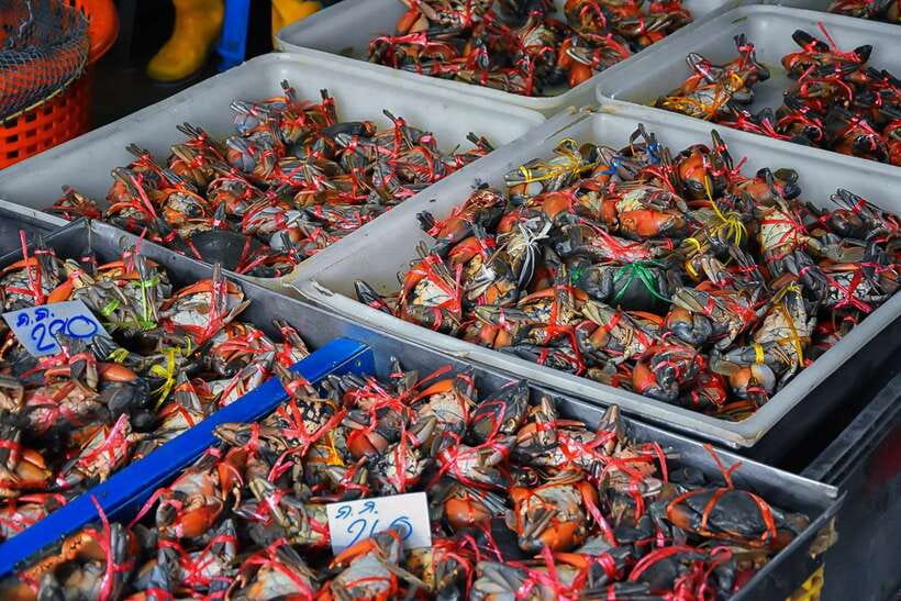 Bangkok: Damnoen Saduak Market and Maeklong Railway Market - Food, shopping, and what to carry