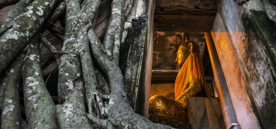 Bangkok: Floating & Maeklong Markets Tour by Private Charter - The driver makes or breaks the day