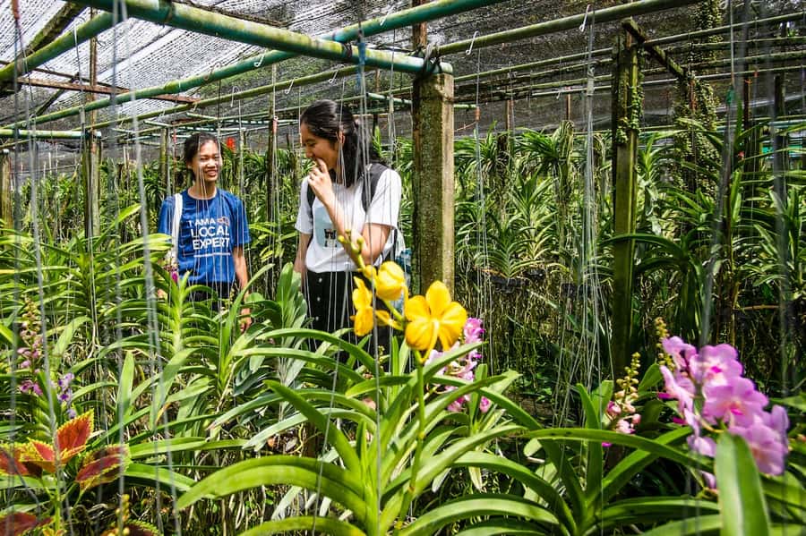 Bangkok Floating Market & Boat Ride to an Orchid Farm - What the guides add to the experience