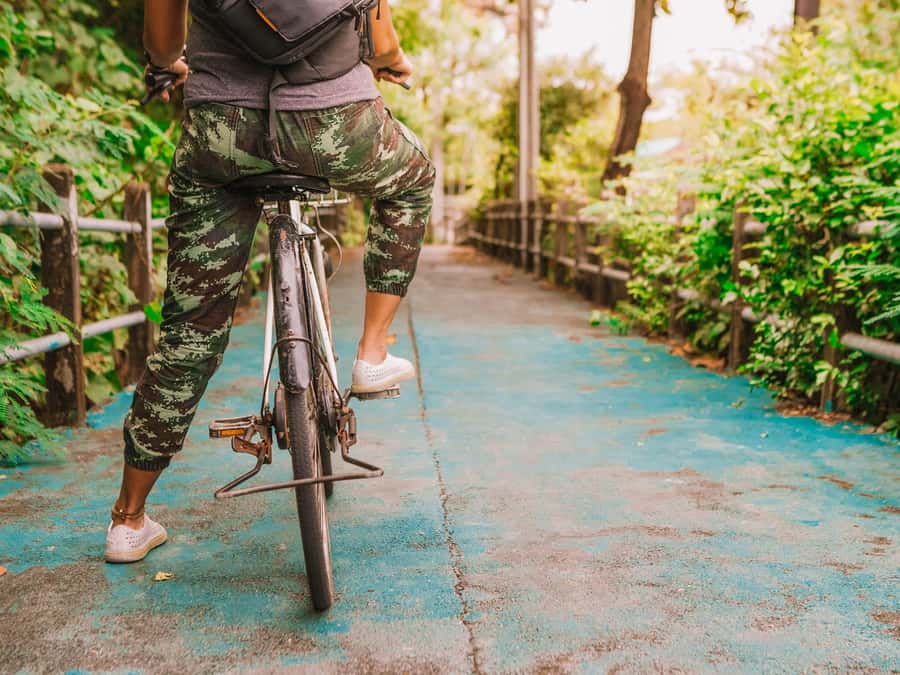 Bangkok: Khlong Toei Market & Bang Krachao Island Bike Tour - The park, fish, and a slower view of the island