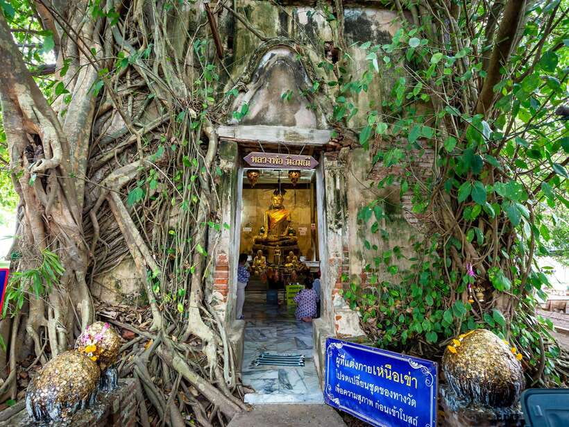 Bangkok: Maeklong Railway & Amphawa Floating Market Day Trip - The Maeklong River firefly cruise