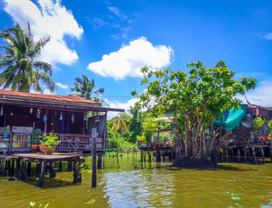 Bangkok: Private Floating & Railway Markets with Farm Visits - Why the Maeklong Railway Market is the main event