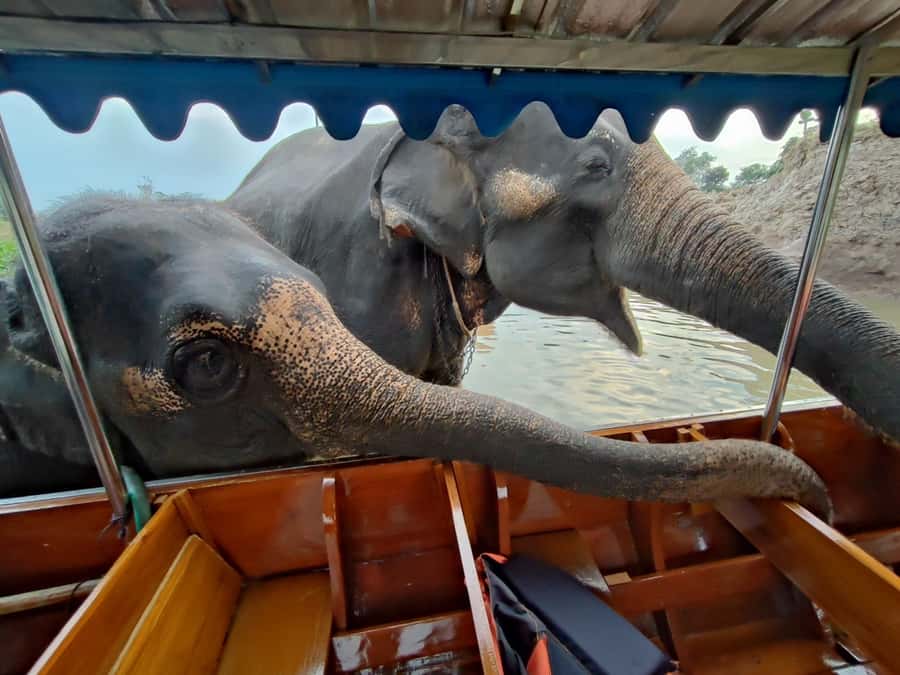 Bangkok: Private Trip to Ayutthaya Temples & Night Market - Why Ayutthaya Works as an Afternoon Trip