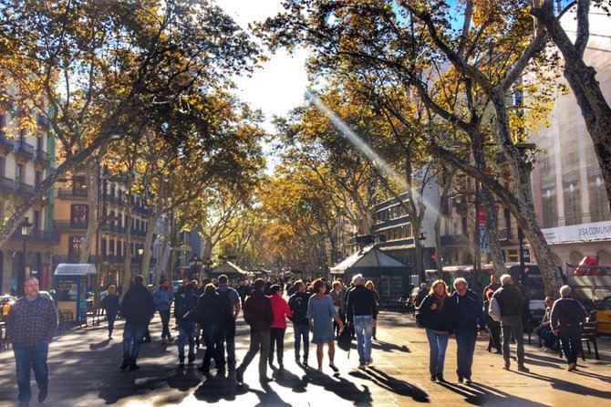 Barcelona Food Tour: Market & Gothic Quarter with Expert Guide - Placa del Rei and Barcelona’s Roman past