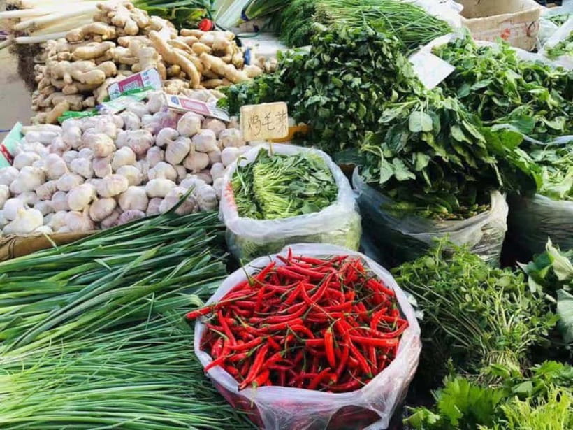 Beijing: Vegan Home Cooking & Local Market Tour with Sanxia - Key points to know before booking